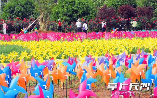 Hunan Forest Botanical Garden opens to tourists for free on May 31