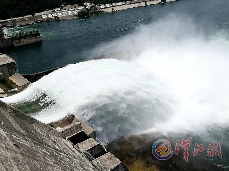 Danjiangkou Reservoir opens the gate for fish spawning