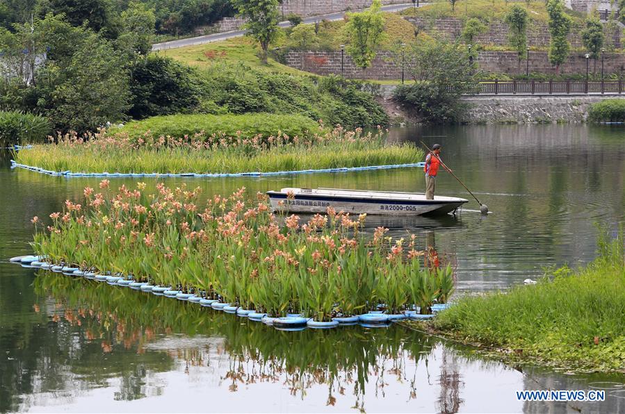 Artificial floating island set for water purification in east, southwest China