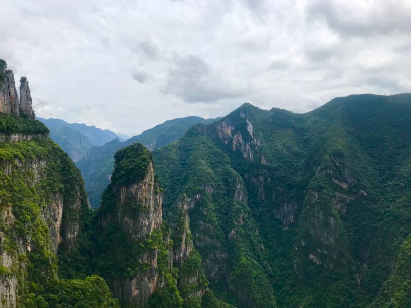 Yangtze River Stories (7) Three Gorges reservoir area in Chongqing getting greener and richer