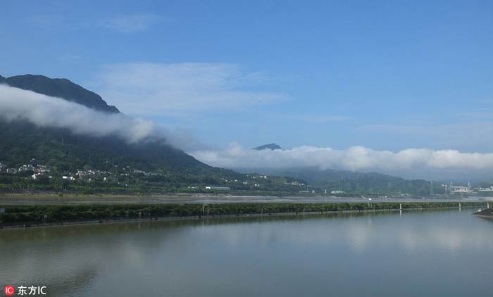 Yangtze River Stories (12) Green riverbank restoration kicks off along the Yangtze River