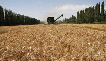 China will not close the door of agricultural opening-up
