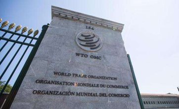 China plays important role in WTO dispute settlement mechanism: expert