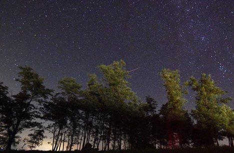 Perseid Meteor Shower in starry sky
