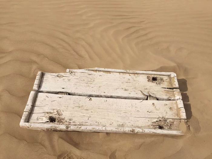 Across Taklamakan: Scientific expedition into China’s largest desert ready for final route survey