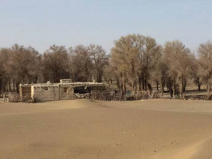 Across Taklamakan: Scientific expedition into China’s largest desert ready for final route survey