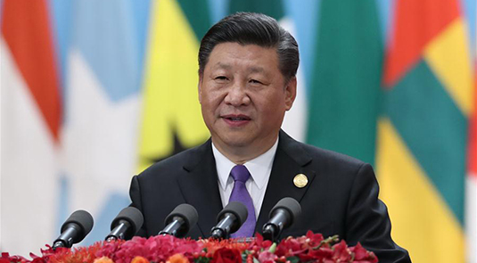 Xi's new initiatives give impetus to stronger China-Africa family