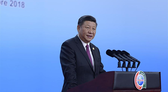 China supports Africa building Belt and Road: Xi