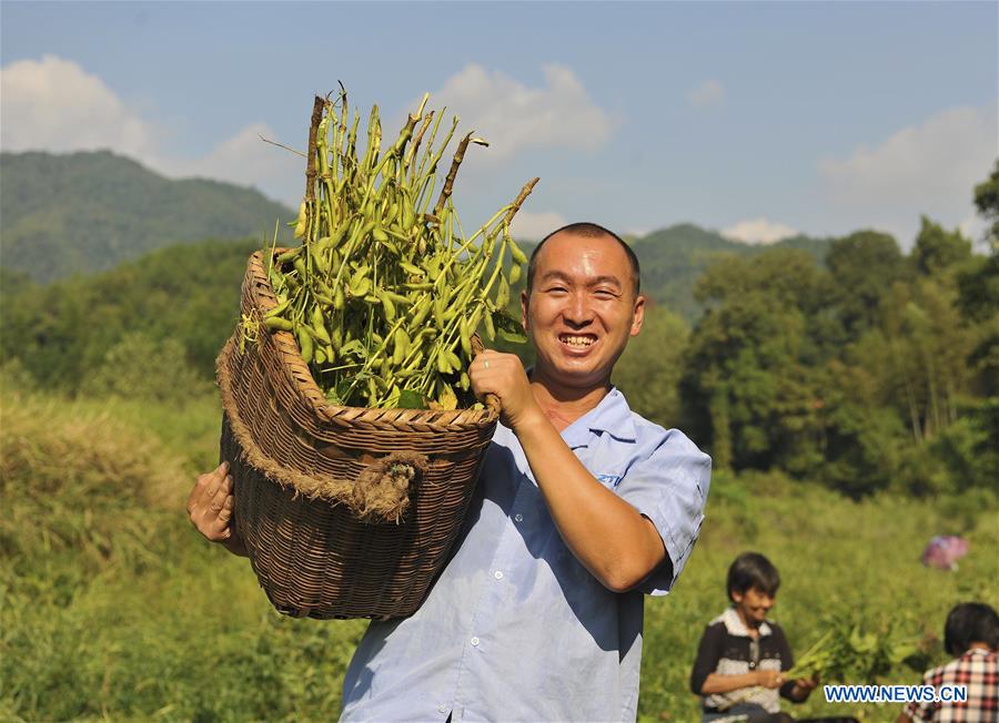 Harvest season celebrated across China