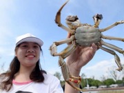 Tourists enjoy mitten crabs on Yangcheng Lake festival