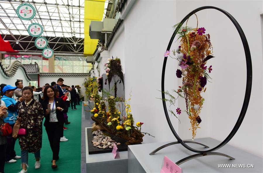 Trade fair for flowers, trees held in central China's Xuchang