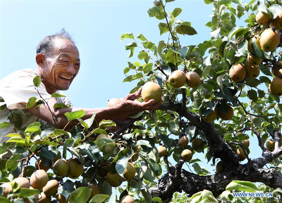 Autumn harvest seen in China