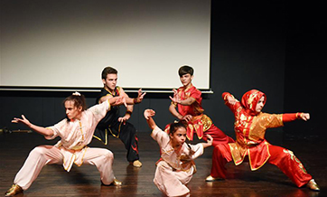 Chinese Kung Fu show enchants audience at Istanbul university