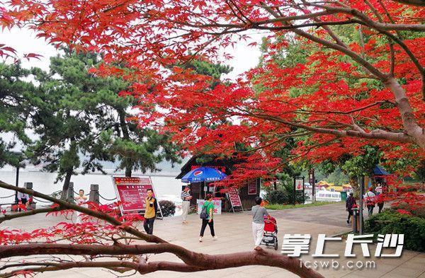 Colorful Changsha in Late Autumn