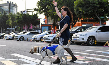 Sight-impaired people call for rights of guide dogs in public