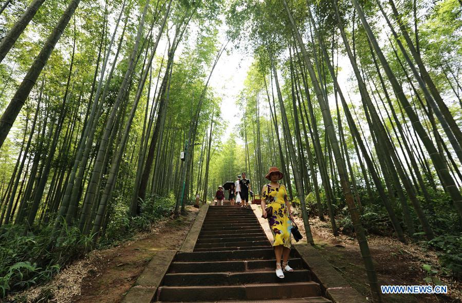 China's Chishui promotes bamboo-related industry to boost locals' income