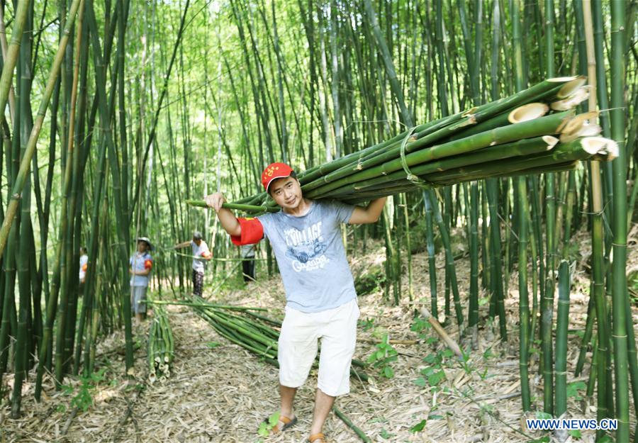 China's Chishui promotes bamboo-related industry to boost locals' income