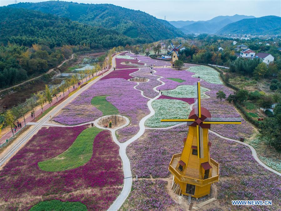 Beautiful scenery of flower-decorated Xiaopu Township in east China