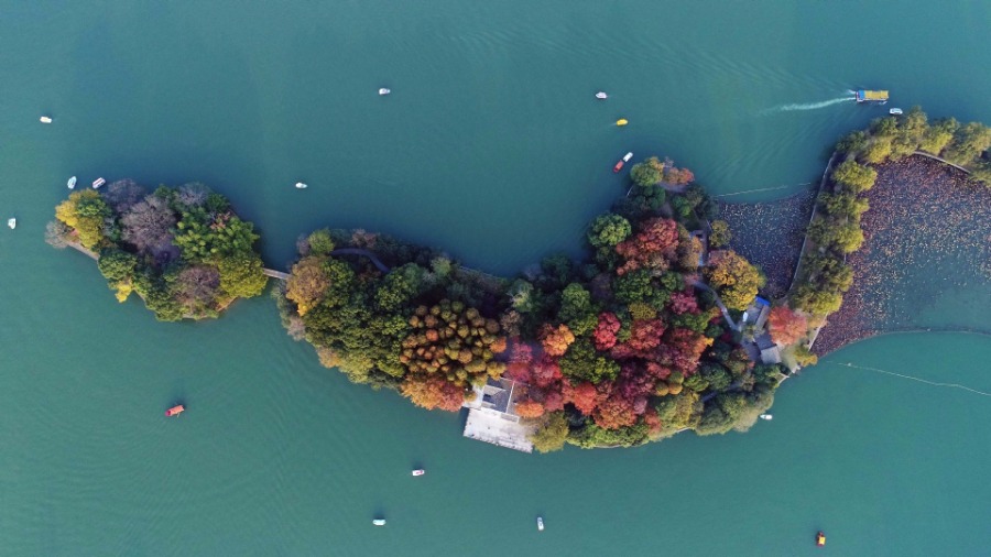 Scenery of Nianjia Lake in Changsha