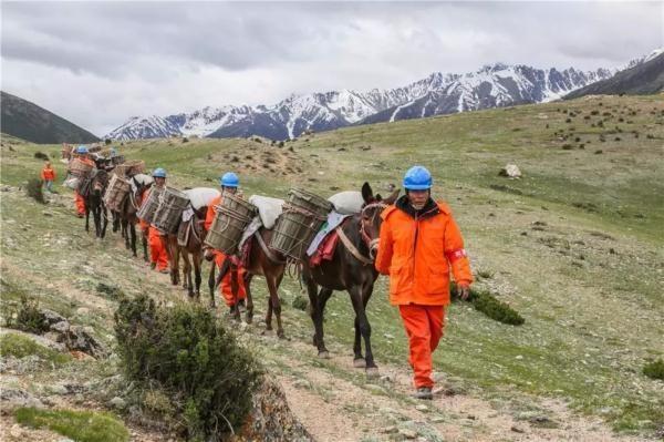 World’s highest power transmission project completed in Tibet
