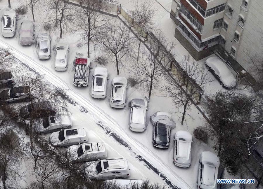 Snow falls in Urumqi, NW China's Xinjiang