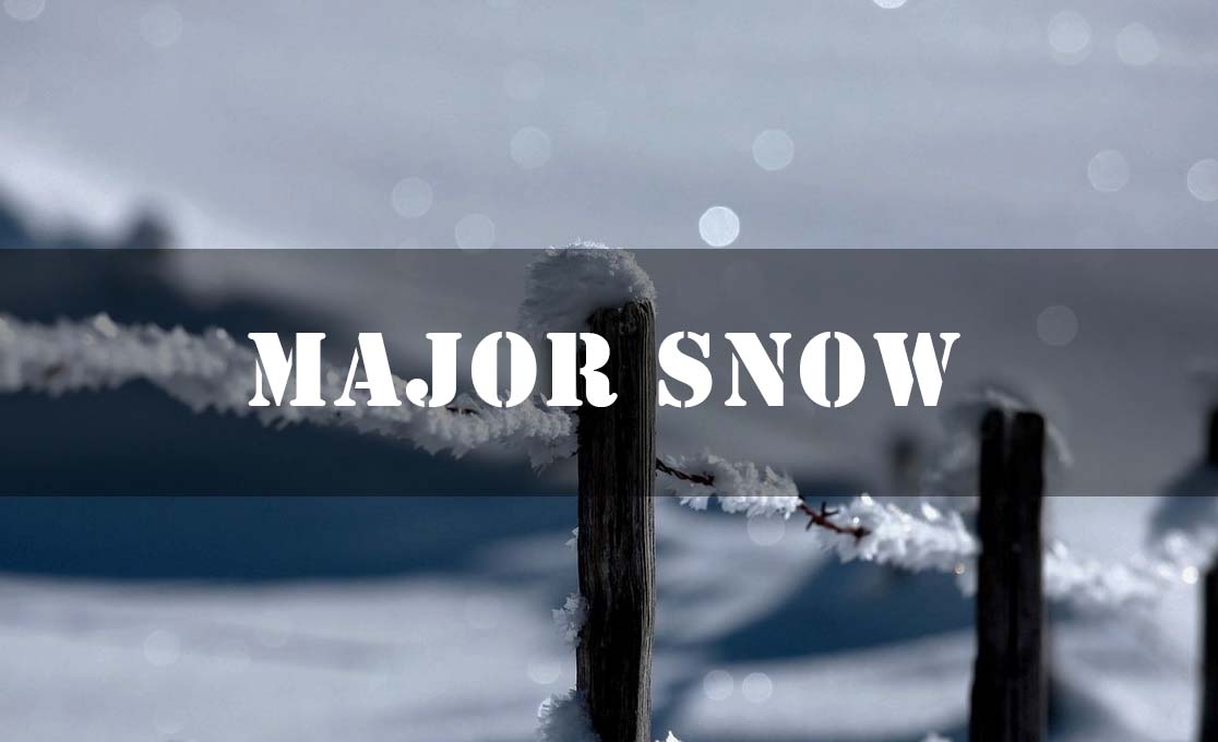 Infographic | Chinese solar term：Major Snow
