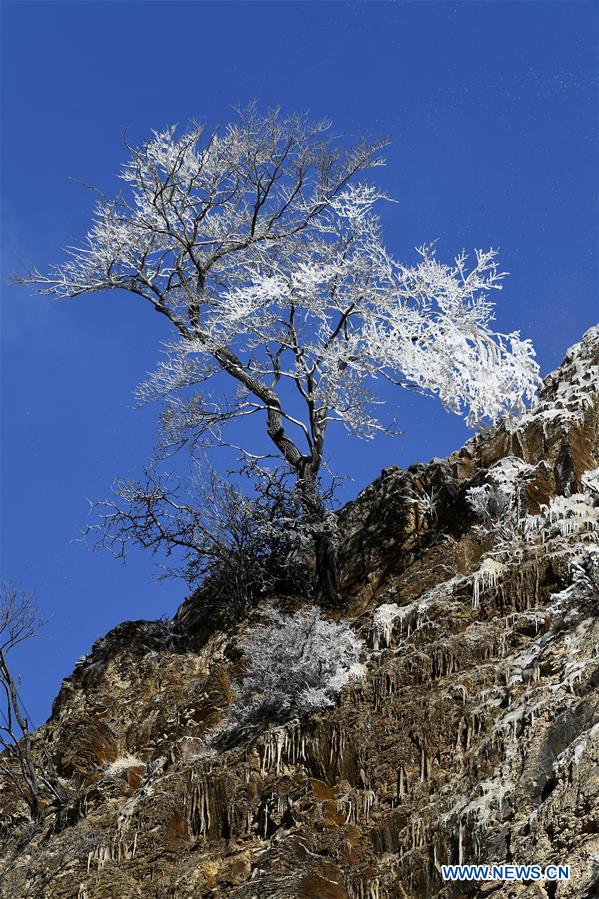 Scenery of Suyukou national forest park after snow in NW China's Ningxia