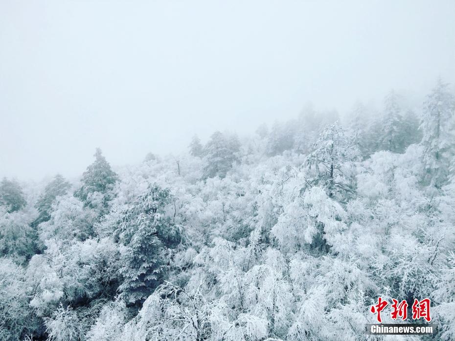 Snow transforms nature reserve in Sichuan into a magical fairyland