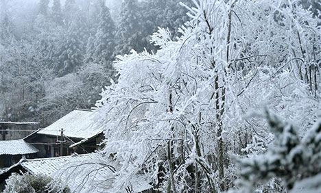 In pics: rime scenery across China