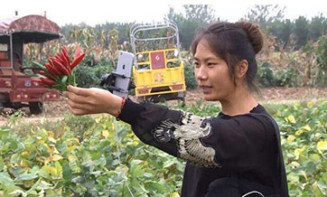 Farmers find new business opportunities through webcasts