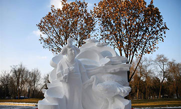 Highlights of Undergraduate Snow Sculpture Competition in NE China