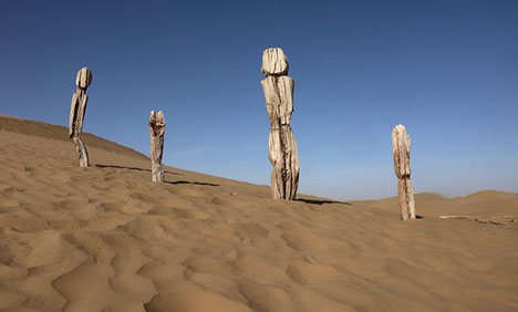 New discoveries in Xinjiang awe archaeologists