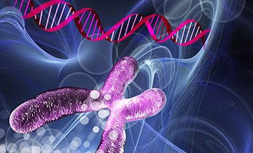 Ethics standards developed for research on humans