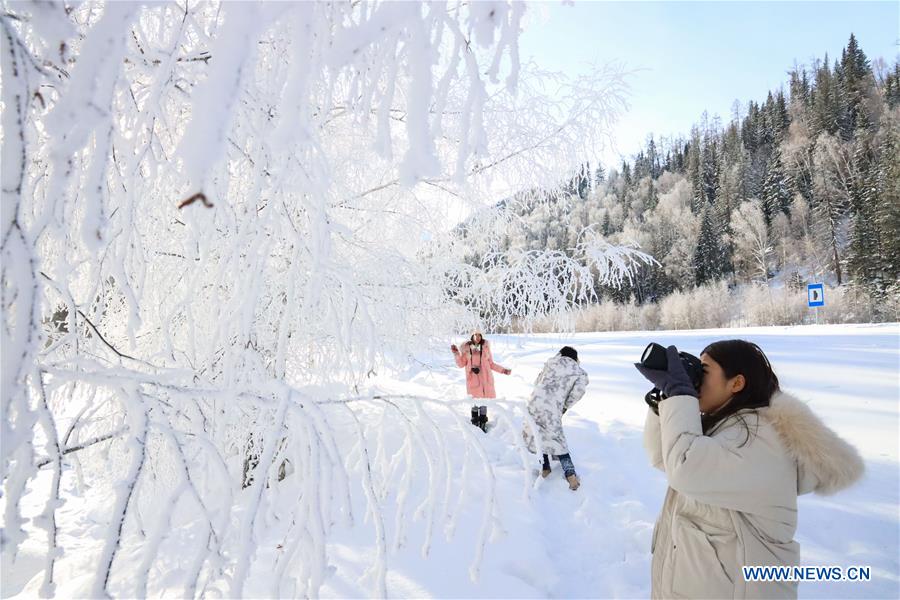 Winter view of Kanas scenic area in China's Xinjiang