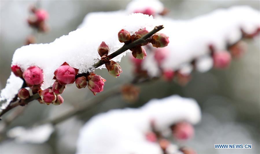 Snow scenery across China