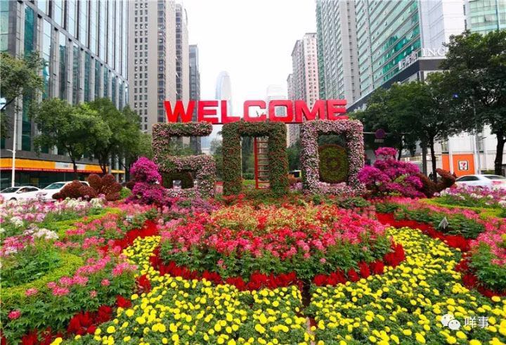 China's top property developers to moderate after booming 2018: newspaper