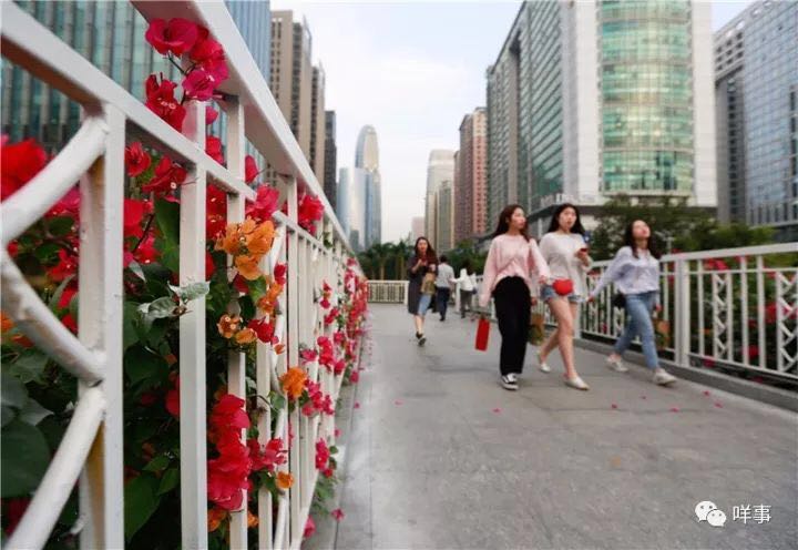 China's top property developers to moderate after booming 2018: newspaper