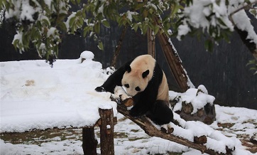 Snow scenery across China