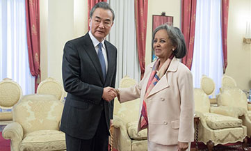 FM says attacks on Africa aid misplaced