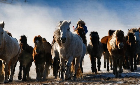 Inner Mongolia greets peak tourism season in winter
