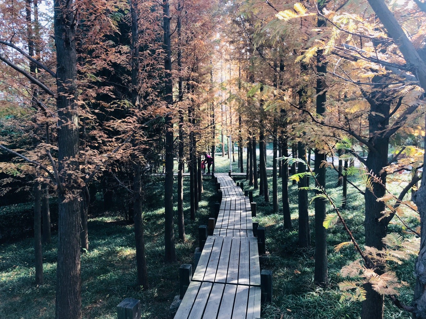 “Sponge Qingdao” creates enjoyable urban life