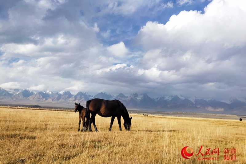 Fantastic winter scenery of northwest China’s Xinjiang