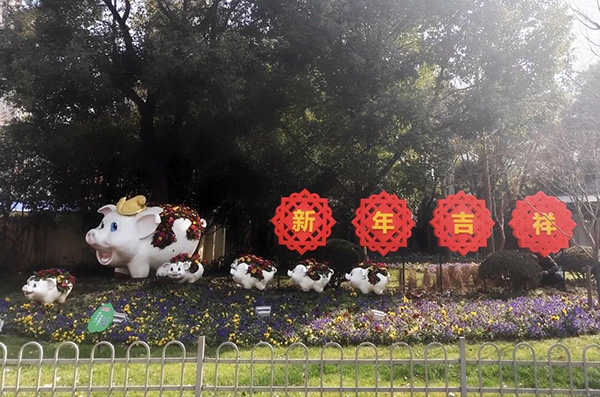 Shanghai streets elegantly decorated for Spring Festival