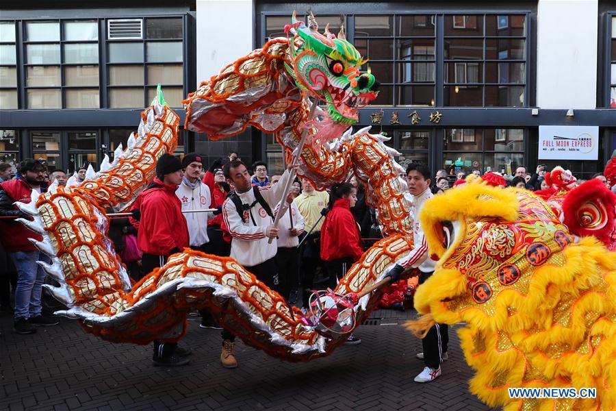 Activities featuring Chinese culture held to celebrate Chinese Lunar New Year in Netherlands