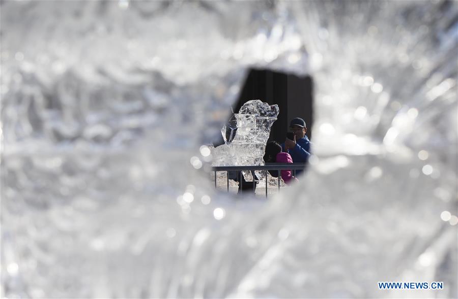 2019 Markham Ice and Snow Festival kicks off in Ontario, Canada