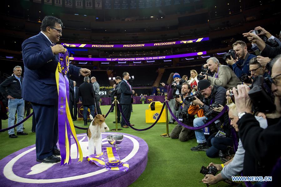 143rd Annual Westminster Kennel Club Dog Show concludes in New York