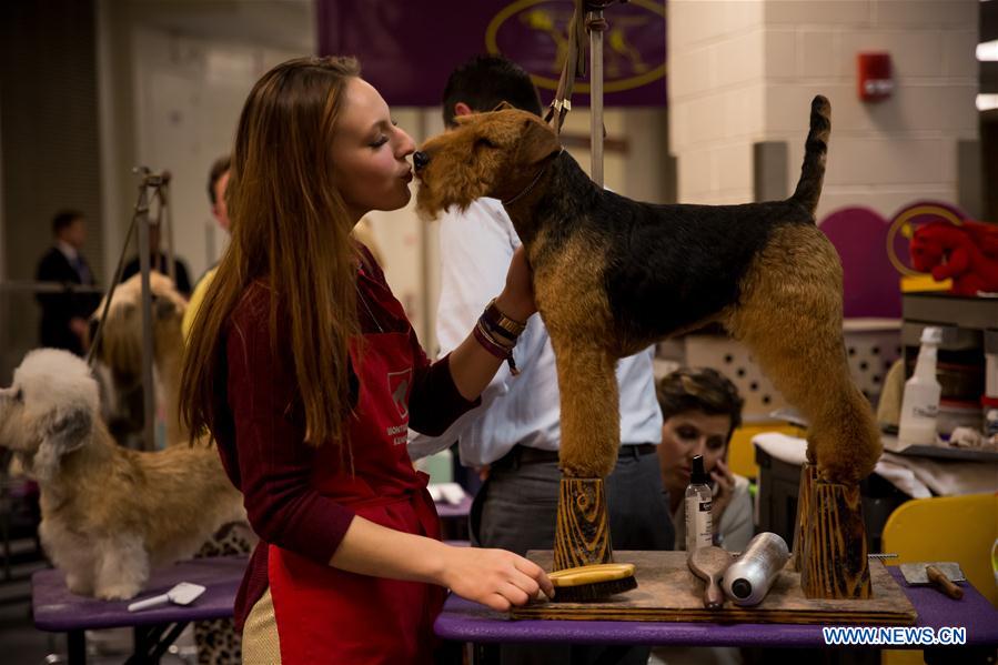 143rd Annual Westminster Kennel Club Dog Show concludes in New York