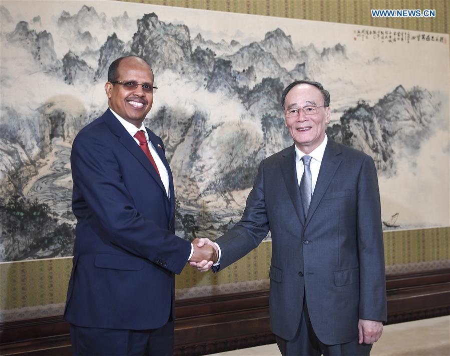 Chinese vice president meets Djibouti FM