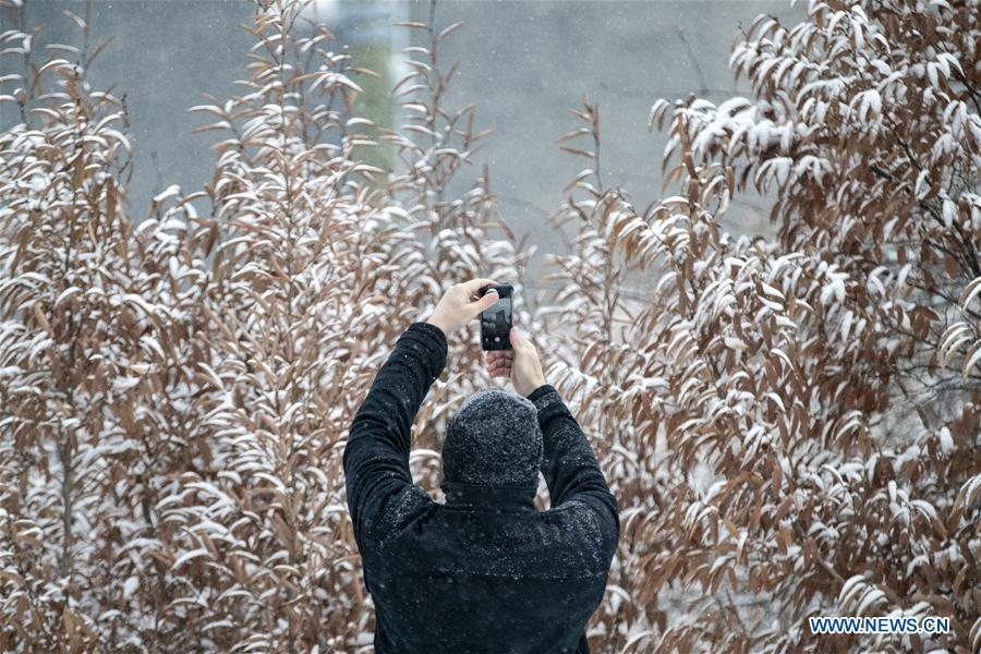 Snow hits New York