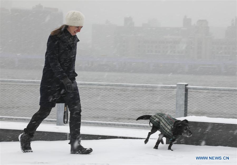 Snow hits New York